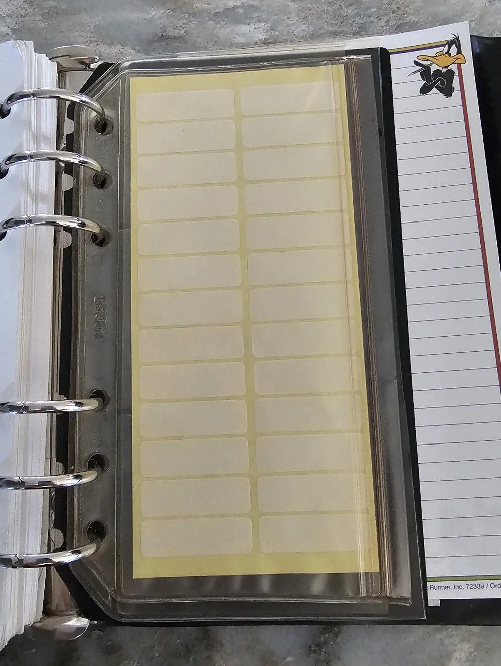 Vintage 1995 Looney Tunes Day Runner Personal Organizer Planner 6-Ring Binder